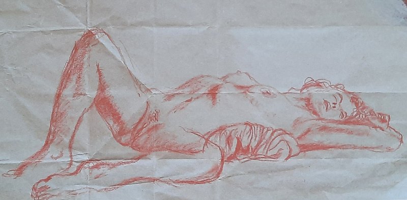 Colibris_20251229_110155