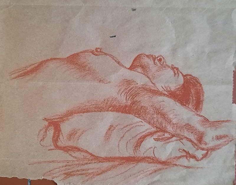 Colibris_20251213_104141