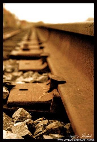 La voie du chemin